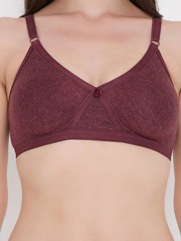 Berry's Intimatess Burgundy Melange Criss Cross Comfort T-Shirt Bra - Seamless, Non-Padded, Non-Wired.