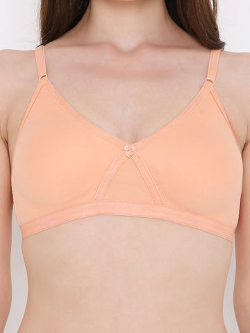 Berry's Intimatess Salmon Peach Criss Cross Comfort T-Shirt Bra - Seamless, Non-Padded, Non-Wired.