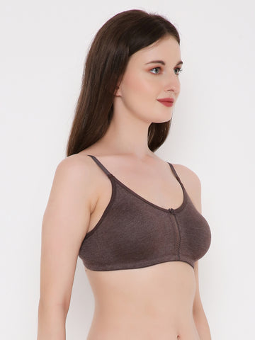 Berry's Intimatess Brown Melange Center Net Seamless Comfort T-Shirt Bra - Non-Padded, Non-Wired