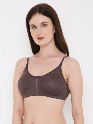 Berry's Intimatess Brown Melange Center Net Seamless Comfort T-Shirt Bra - Non-Padded, Non-Wired
