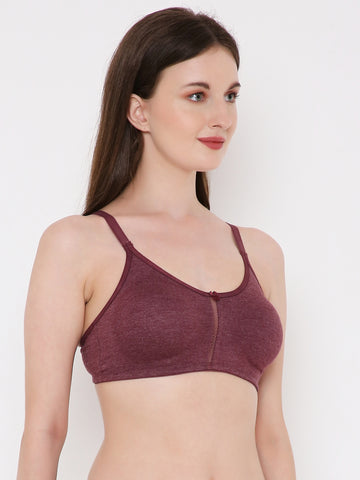 Berry's Intimatess Burgundy Melange Center Net Seamless Comfort T-Shirt Bra - Non-Padded, Non-Wired