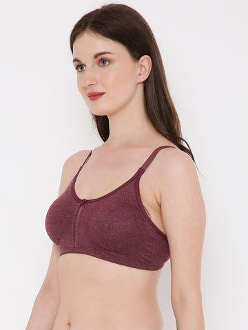 Berry's Intimatess Burgundy Melange Center Net Seamless Comfort T-Shirt Bra - Non-Padded, Non-Wired
