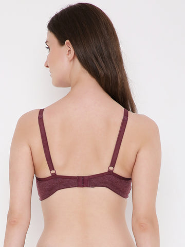 Berry's Intimatess Burgundy Melange Center Net Seamless Comfort T-Shirt Bra - Non-Padded, Non-Wired