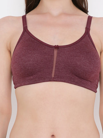 Berry's Intimatess Burgundy Melange Center Net Seamless Comfort T-Shirt Bra - Non-Padded, Non-Wired