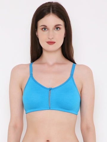 Berry's Intimatess Azure Blue Center Net Seamless Comfort T-Shirt Bra - Non-Padded, Non-Wired