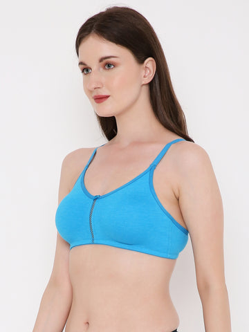 Berry's Intimatess Azure Blue Center Net Seamless Comfort T-Shirt Bra - Non-Padded, Non-Wired