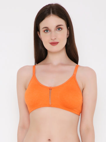 Berry's Intimatess Orange Center Net Seamless Comfort T-Shirt Bra - Non-Padded, Non-Wired