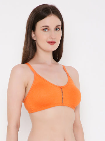 Berry's Intimatess Orange Center Net Seamless Comfort T-Shirt Bra - Non-Padded, Non-Wired