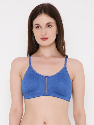 Berry's Intimatess Royal Blue Melange Center Net Seamless Comfort T-Shirt Bra - Non-Padded, Non-Wired