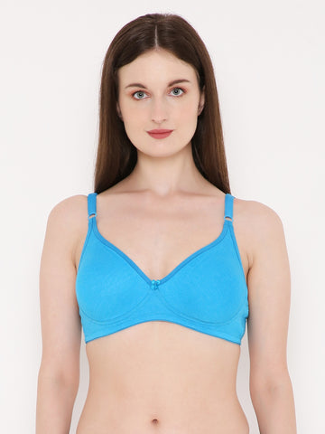Berry's Intimatess Azure Blue Side Concealer Seamless Comfort T-Shirt Bra - Non-Padded, Non-Wired