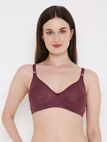 Berry's Intimatess Burgundy Melange Side Concealer Seamless Comfort T-Shirt Bra - Non-Padded, Non-Wired