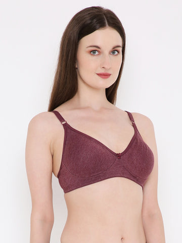 Berry's Intimatess Burgundy Melange Side Concealer Seamless Comfort T-Shirt Bra - Non-Padded, Non-Wired