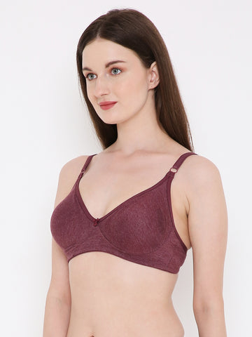 Berry's Intimatess Burgundy Melange Side Concealer Seamless Comfort T-Shirt Bra - Non-Padded, Non-Wired