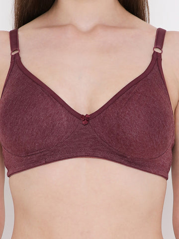 Berry's Intimatess Burgundy Melange Side Concealer Seamless Comfort T-Shirt Bra - Non-Padded, Non-Wired
