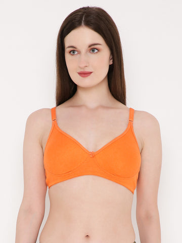 Berry's Intimatess Orange Side Concealer Seamless Comfort T-Shirt Bra - Non-Padded, Non-Wired