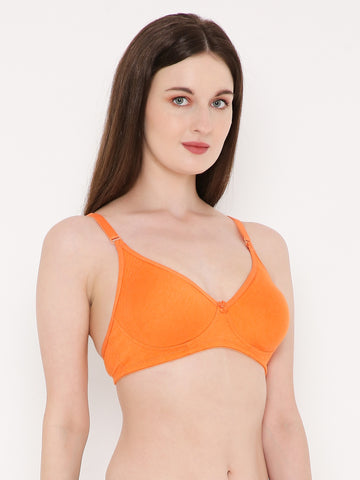 Berry's Intimatess Orange Side Concealer Seamless Comfort T-Shirt Bra - Non-Padded, Non-Wired