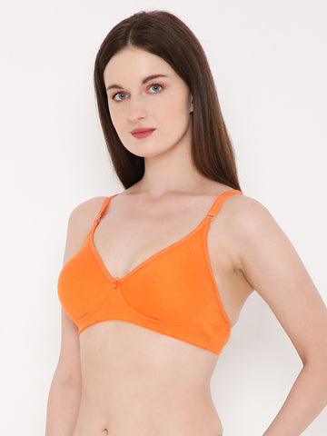 Berry's Intimatess Orange Side Concealer Seamless Comfort T-Shirt Bra - Non-Padded, Non-Wired