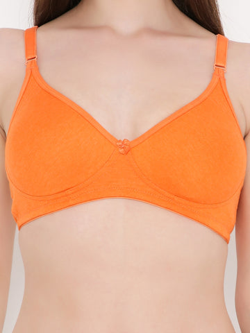 Berry's Intimatess Orange Side Concealer Seamless Comfort T-Shirt Bra - Non-Padded, Non-Wired