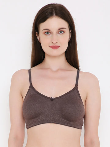 Berry's Intimatess Brown Melange Bottom Concealer Seamless Comfort T-Shirt Bra - Non-Padded, Non-Wired