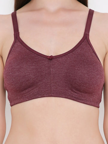 Berry's Intimatess Burgundy Melange Bottom Concealer Seamless Comfort T-Shirt Bra - Non-Padded, Non-Wired