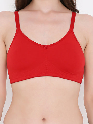 Berry's Intimatess Red Bottom Concealer Seamless Comfort T-Shirt Bra - Non-Padded, Non-Wired