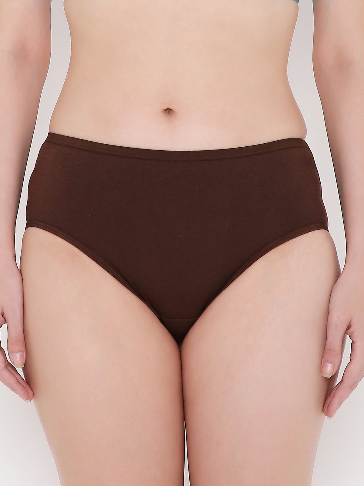 Berry's Intimatess Hickory Brown Solid Women's Mid Rise Soft Cotton Hipster Panty