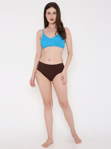 Berry's Intimatess Hickory Brown Solid Women's Mid Rise Soft Cotton Hipster Panty
