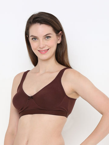 Berry's Intimatess Comfort Plus Full Coverage Brown Slip-On Bra – Wire-Free & Non-Padded
