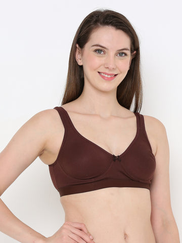 Berry's Intimatess Comfort Plus Full Coverage Brown Slip-On Bra – Wire-Free & Non-Padded