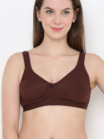 Berry's Intimatess Comfort Plus Full Coverage Brown Slip-On Bra – Wire-Free & Non-Padded
