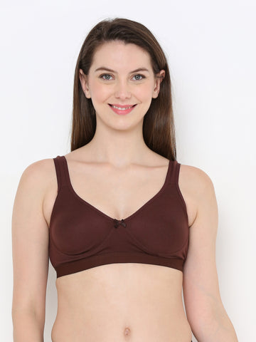 Berry's Intimatess Comfort Plus Full Coverage Brown Slip-On Bra – Wire-Free & Non-Padded