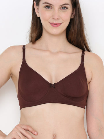 Berry's Intimatess Brown Cotton Bra for Women Non-Padded, Non-Wired T Shirt Bra with Seamless Cup
