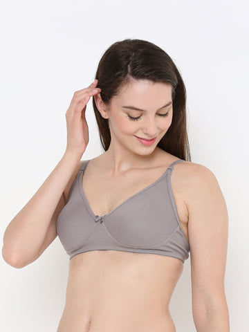 Berry's Intimatess Grey Cotton Bra for Women Non-Padded, Non-Wired T Shirt Bra with Seamless Cup