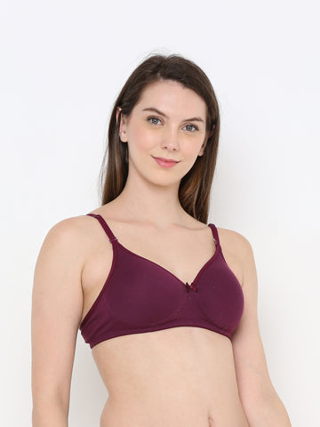 Berry's Intimatess Wine Everyday Comfort: Lightly Padded Wire-Free T-Shirt Bra