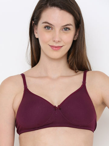 Berry's Intimatess Wine Everyday Comfort: Lightly Padded Wire-Free T-Shirt Bra