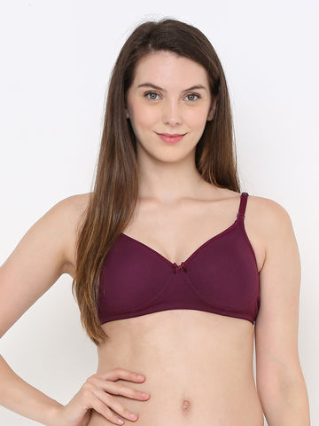 Berry's Intimatess Wine Everyday Comfort: Lightly Padded Wire-Free T-Shirt Bra