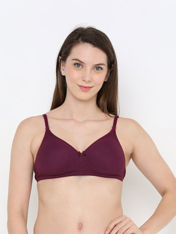 Berry's Intimatess Wine Everyday Comfort: Lightly Padded Wire-Free T-Shirt Bra